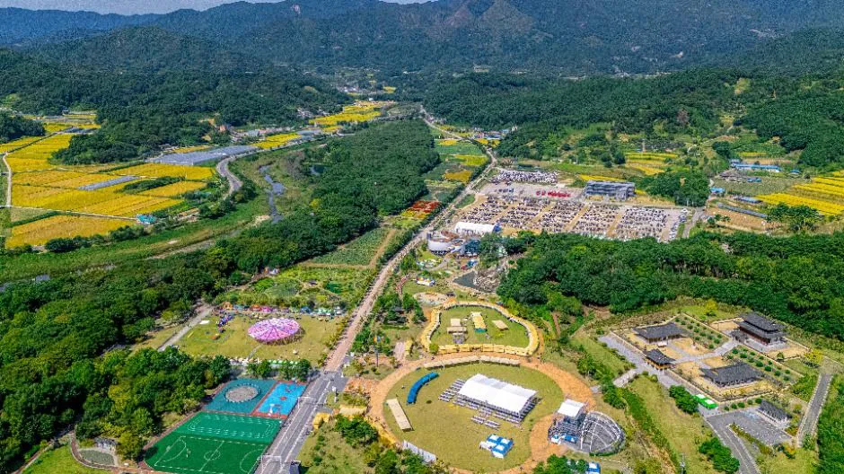 함양산삼축제 방문 전 꼭 알아야 할 모든 것