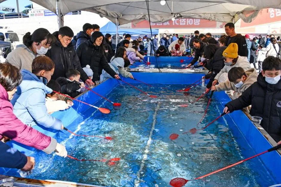 영동곶감축제