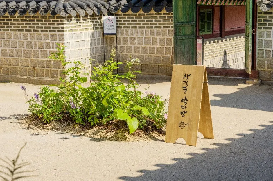 창덕궁 약다방 가이드: 일정부터 후기까지 한눈에